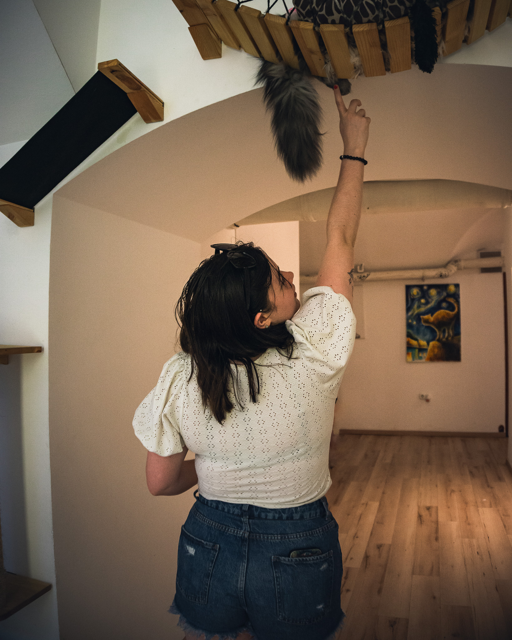 Faith reaching for a cat in Budapest