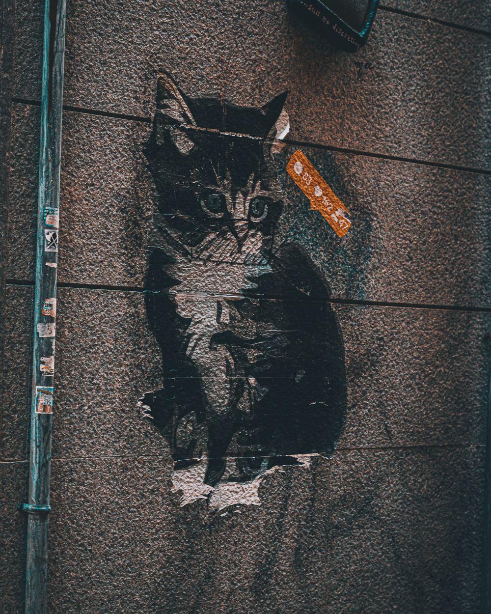 Close up of a cat graffiti on a wall