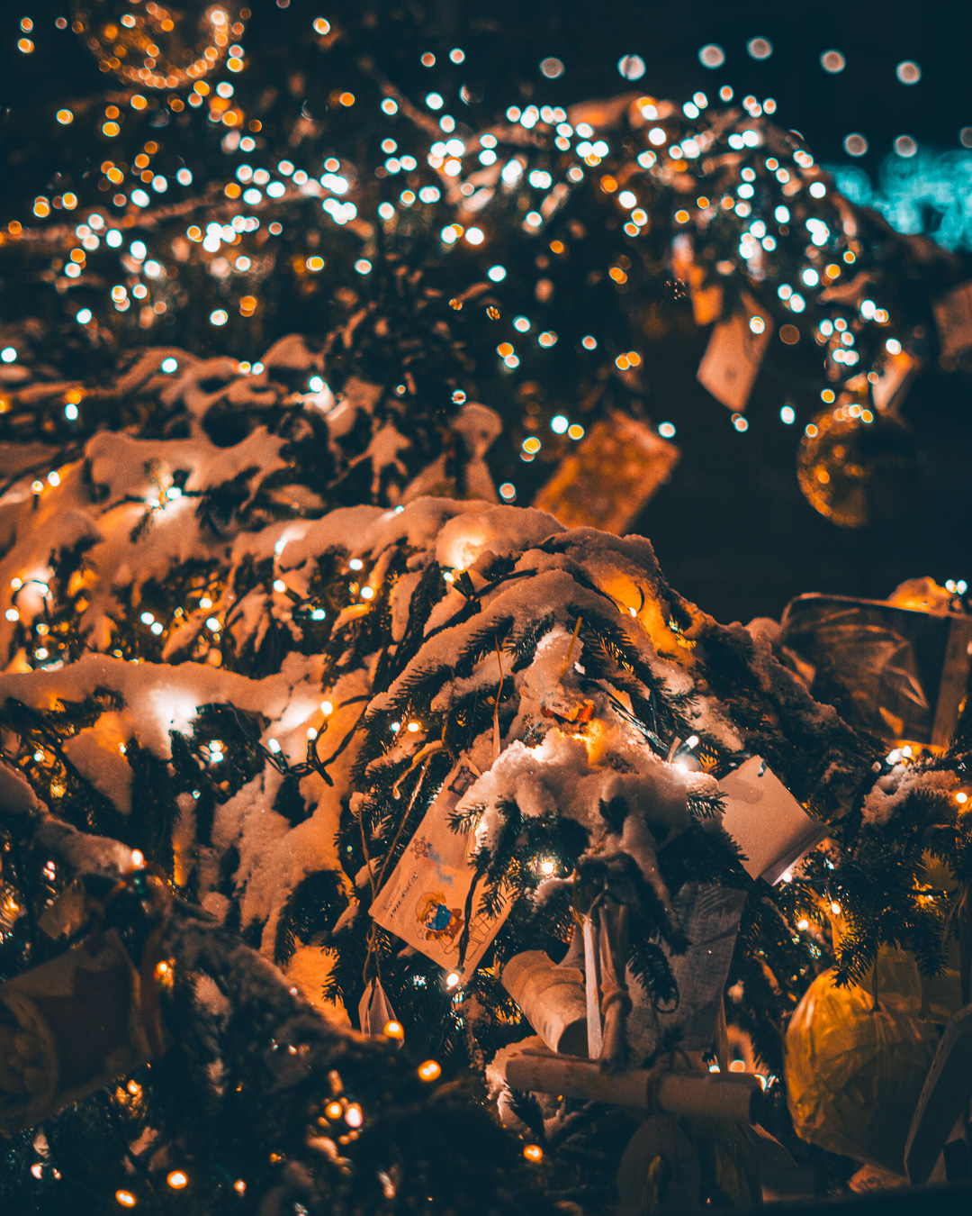 Close up of Christmas tree branch with letters hung on it