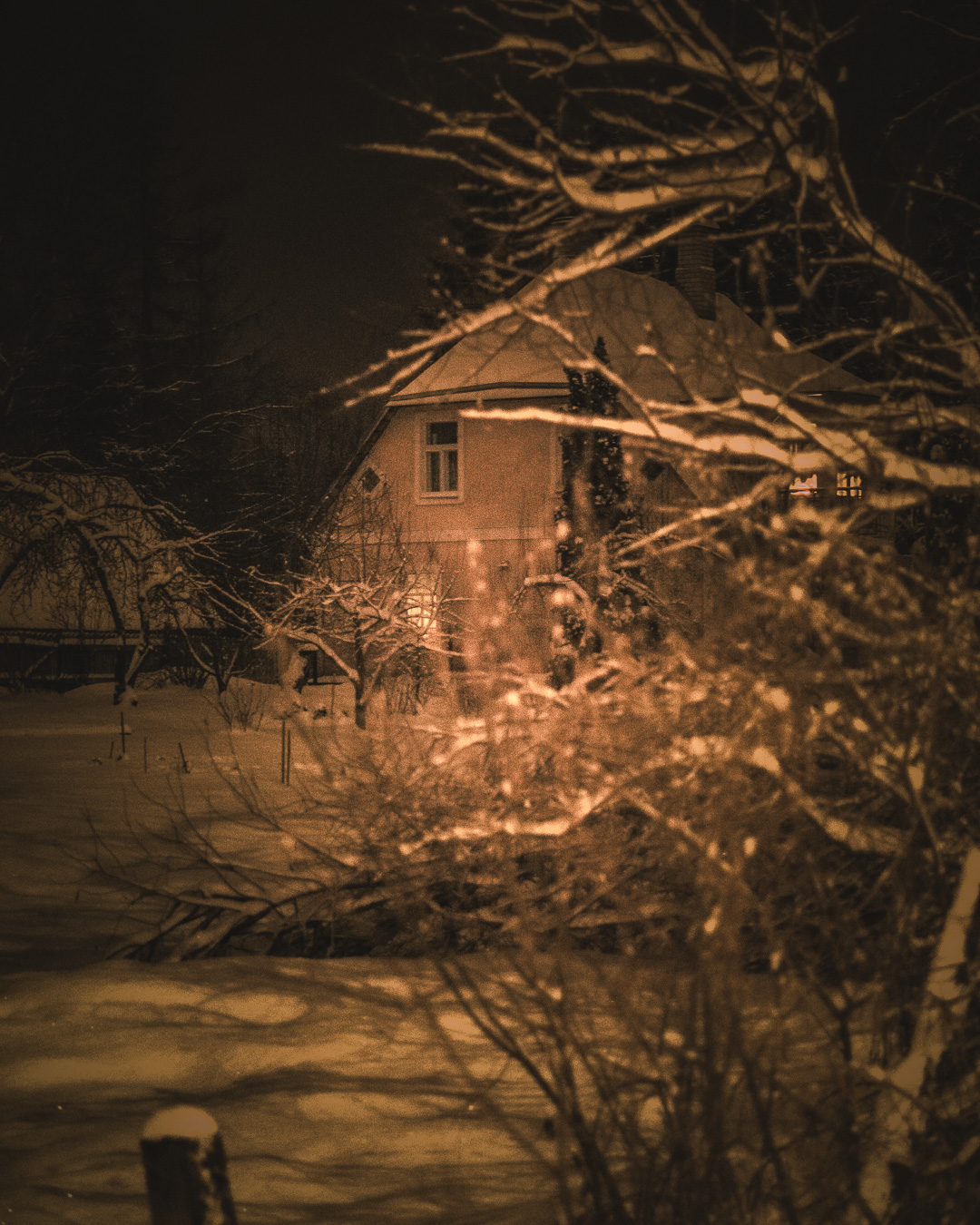 dark house in the countryside hidden behind trees and snow